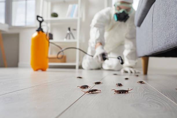 Commercial Kitchen Cockroach Control in Woodsfield